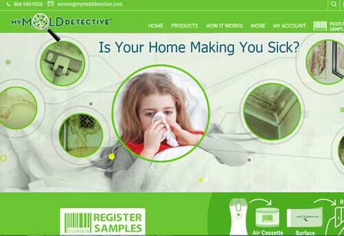 My Mold Detective 